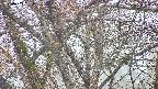 takano4-20250409061057.jpg