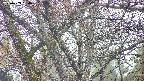 takano4-20250409064056.jpg
