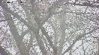 takano4-20250411081058.jpg