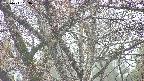 takano4-20250411083100.jpg