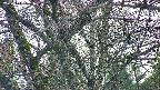 takano4-20250411181100.jpg