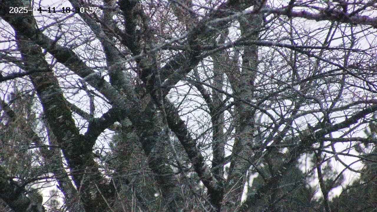 takano4-20250411183058.jpg