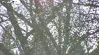 takano4-20250412161058.jpg