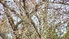 takano4-20250413055057.jpg
