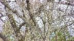 takano4-20250413140059.jpg