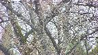 takano4-20250414052058.jpg
