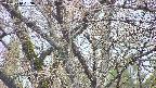 takano4-20250414053059.jpg