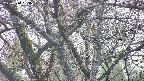 takano4-20250414063058.jpg
