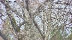 takano4-20250414090057.jpg
