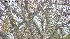 takano4-20250414101055.jpg