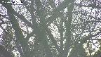 takano4-20250414171059.jpg