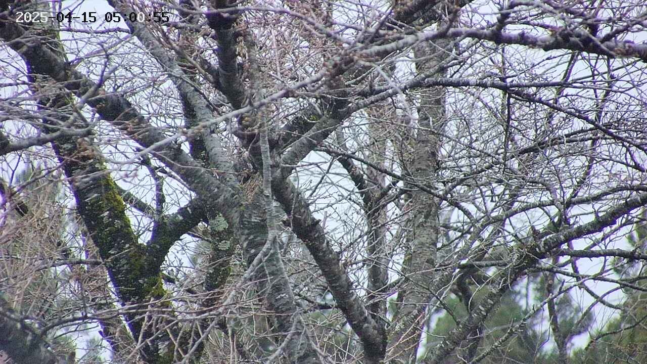 takano4-20250415050056.jpg