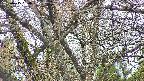takano4-20250415060057.jpg