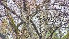 takano4-20250415154059.jpg