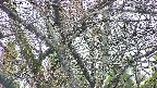 takano4-20250415172058.jpg