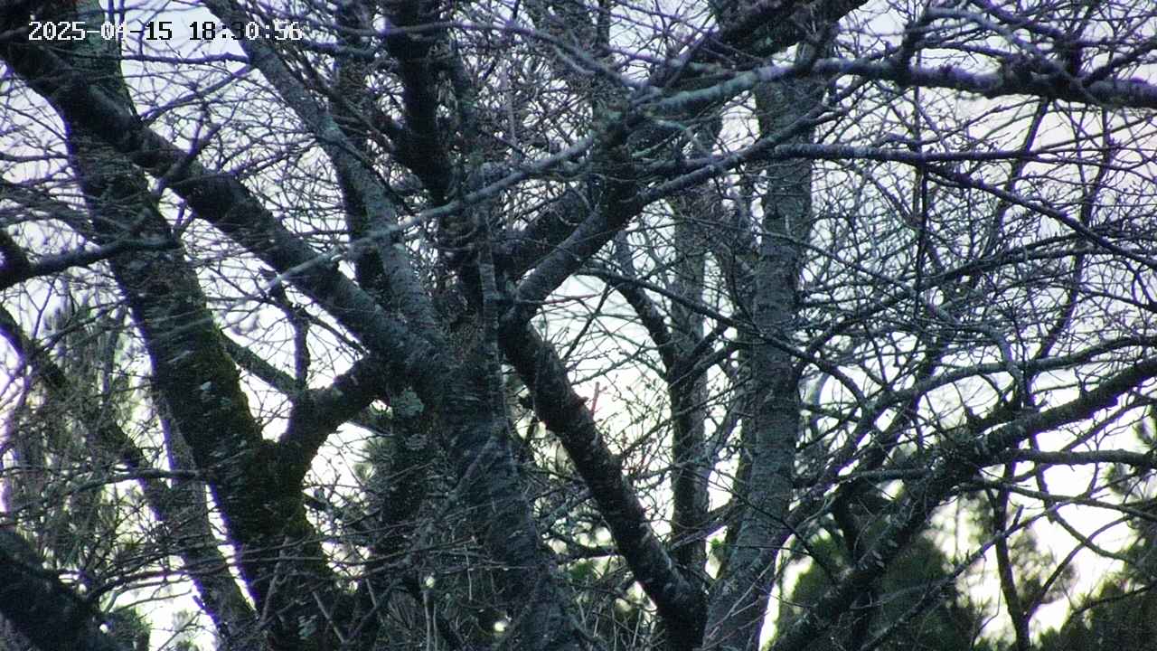takano4-20250415183057.jpg