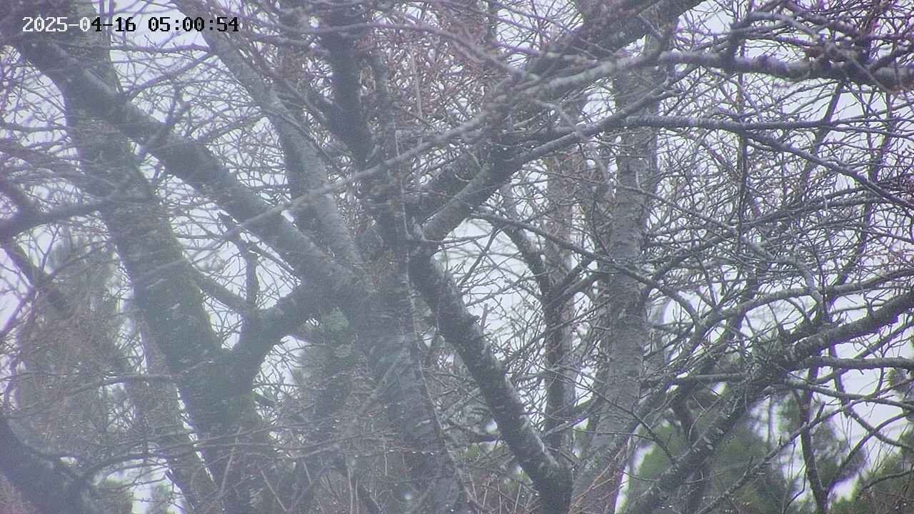 takano4-20250416050055.jpg