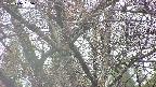 takano4-20250416055057.jpg