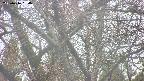 takano4-20250416094058.jpg