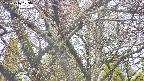 takano4-20250416103057.jpg