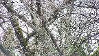 takano4-20250416171059.jpg