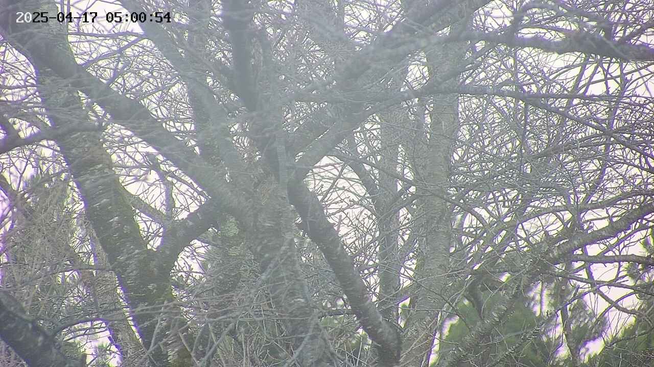 takano4-20250417050056.jpg
