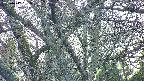takano4-20250417051058.jpg