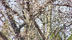 takano4-20250417105057.jpg