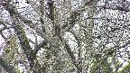takano4-20250417132057.jpg