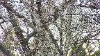 takano4-20250417140058.jpg