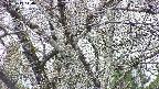 takano4-20250417144058.jpg