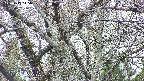 takano4-20250417145059.jpg
