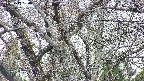 takano4-20250417150058.jpg