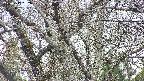 takano4-20250417152058.jpg
