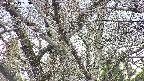 takano4-20250417153058.jpg
