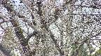 takano4-20250417154100.jpg