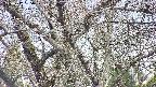 takano4-20250417155059.jpg