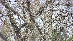 takano4-20250417160059.jpg