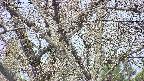 takano4-20250417162059.jpg