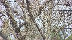 takano4-20250417163056.jpg