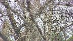 takano4-20250417164059.jpg