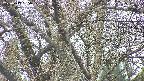 takano4-20250417165059.jpg