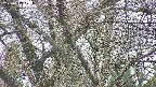 takano4-20250417171100.jpg