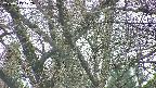 takano4-20250417172058.jpg