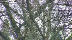 takano4-20250417174058.jpg