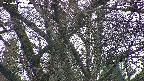 takano4-20250417180058.jpg