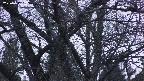 takano4-20250417183057.jpg