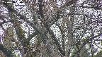 takano4-20250418050056.jpg
