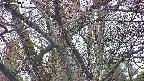 takano4-20250418051056.jpg