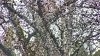 takano4-20250418052056.jpg